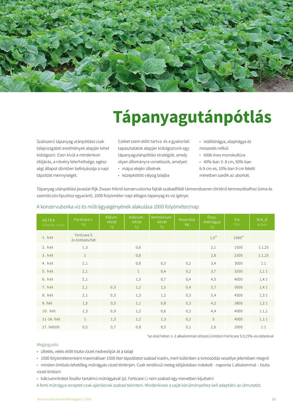 Ezeket szem előtt tartva és a gyakorlati tapasztalatok alapján kidolgoztunk egy tápanyagutánpótlási stratégiát, amely olyan állományra vonatkozik, amelyet: május elején ültetnek középkötött vályog