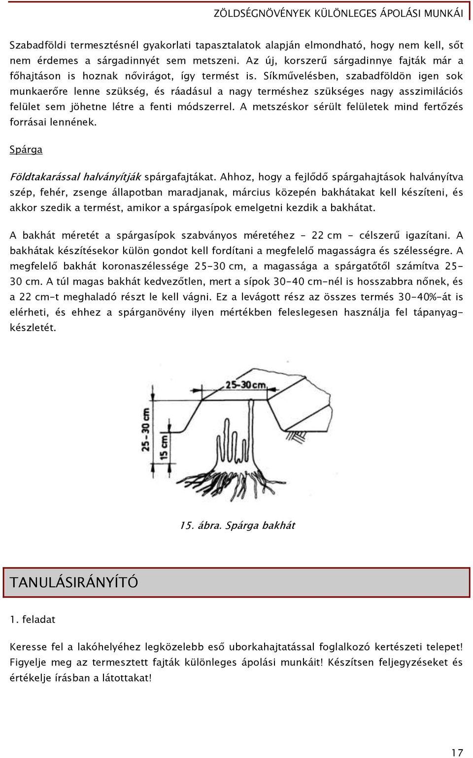 Síkművelésben, szabadföldön igen sok munkaerőre lenne szükség, és ráadásul a nagy terméshez szükséges nagy asszimilációs felület sem jöhetne létre a fenti módszerrel.