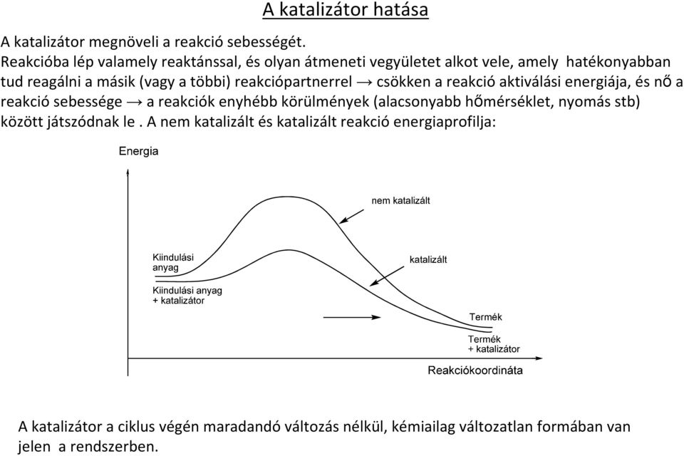 reakciópartnerrel csökken a reakcióaktiválási energiája, és nıa reakciósebessége a reakciók enyhébb körülmények (alacsonyabb