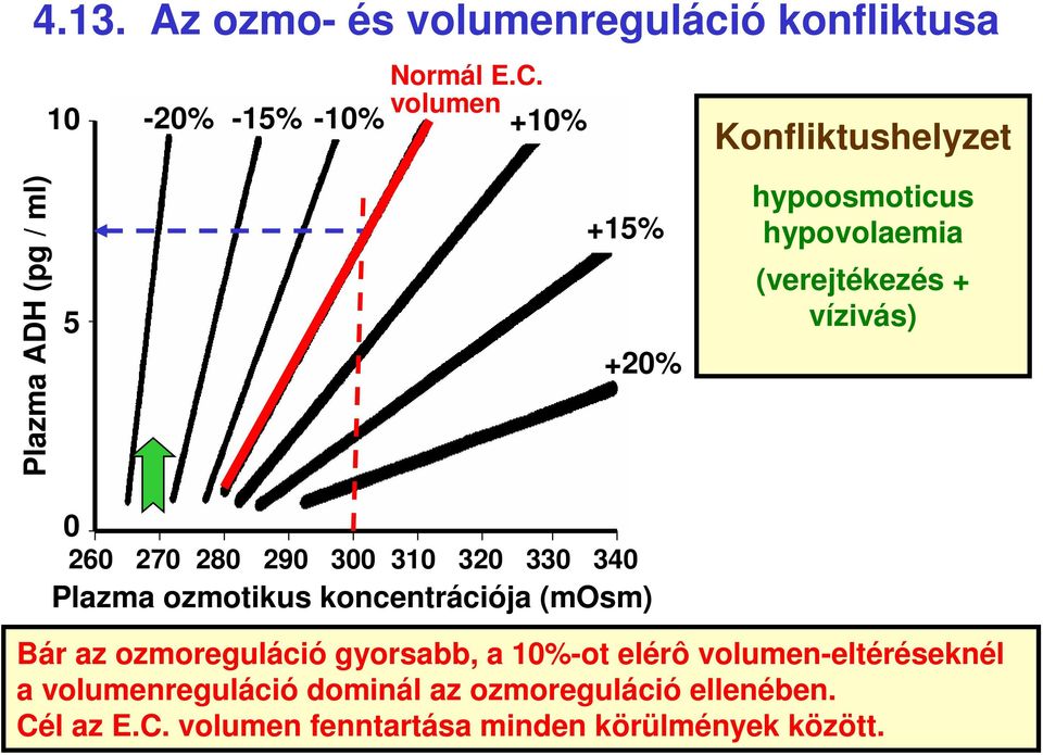 (verejtékezés + vízivás) 0 260 270 280 290 300 310 320 330 340 Plazma ozmotikus koncentrációja (mosm) Bár az