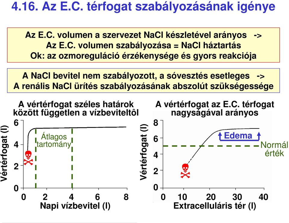 volumen a szervezet NaCl