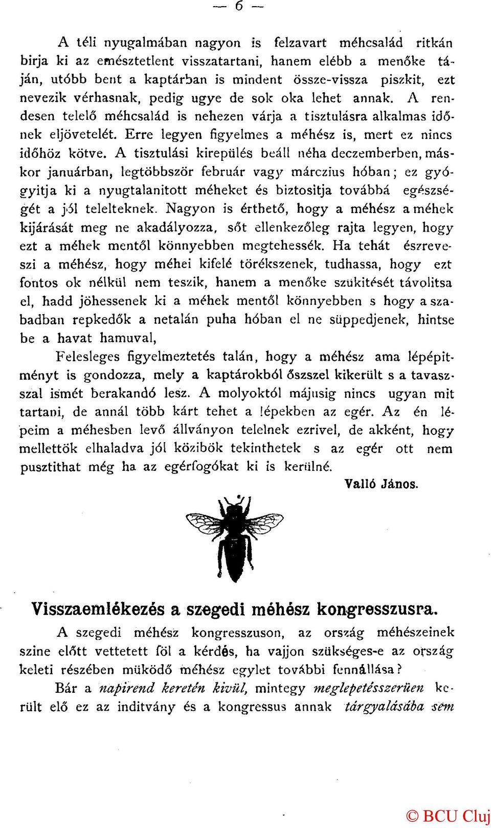 A tisztulási kirepülés beáll néha deczemberben, máskor januárban, legtöbbször február vagy márczius hóban; ez gyógyítja ki a nyugtalanított méheket és biztosítja továbbá egészségét a jól teleiteknek.