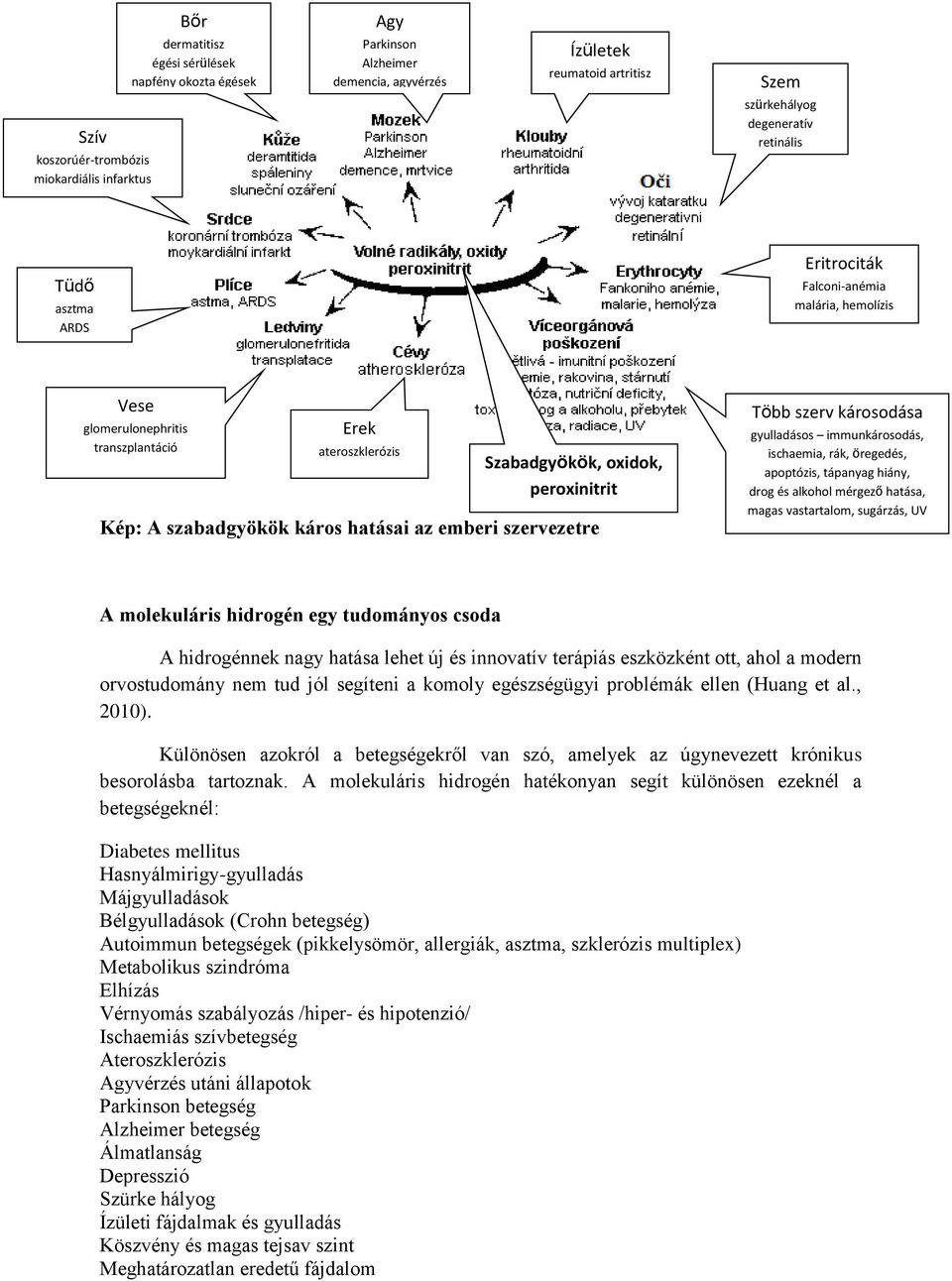 szabadgyökök káros hatásai az emberi szervezetre Több szerv károsodása gyulladásos immunkárosodás, ischaemia, rák, öregedés, apoptózis, tápanyag hiány, drog és alkohol mérgező hatása, magas