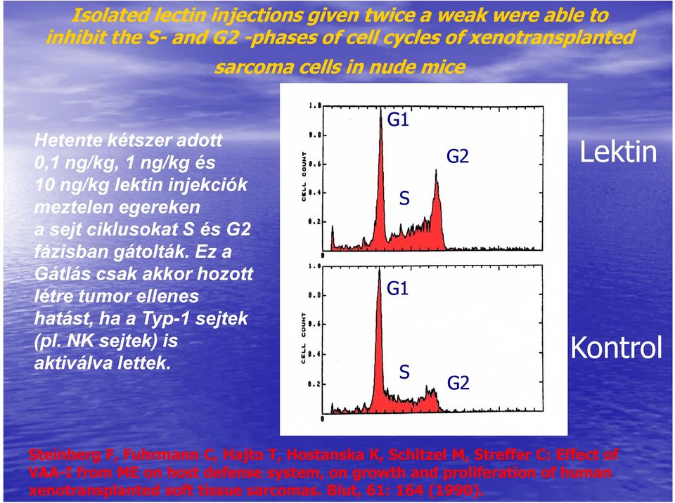 Ez a Gátlás csak akkor hozott létre tumor ellenes hatást, ha a Typ-1 sejtek (pl. NK sejtek) is aktiválva lettek.