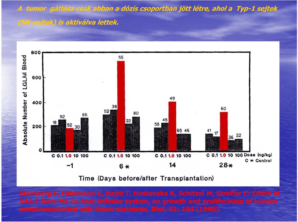 Steinberg F, Fuhrmann C, Hajto T, Hostanska K, Schitzel M, Streffer C: Effect of