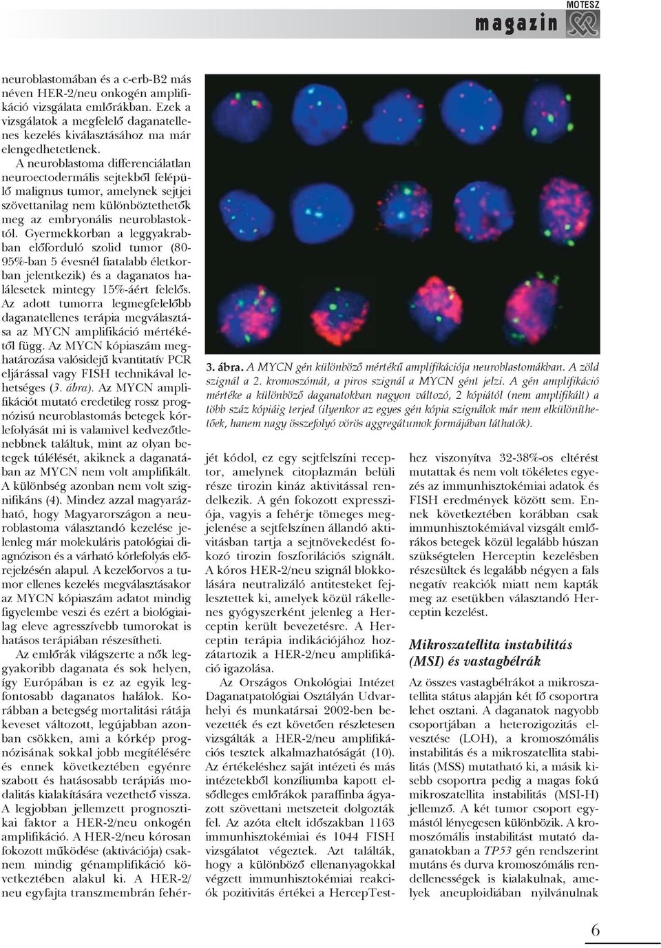 összefolyó vörös aggregátumok formájában láthatók). neuroblastomában és a c-erb-b2 más néven HER-2/neu onkogén amplifikáció vizsgálata emlõrákban.