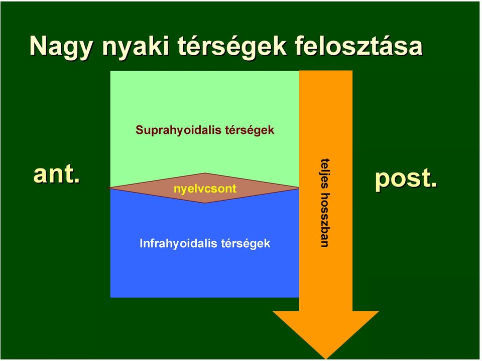 térségek ant.