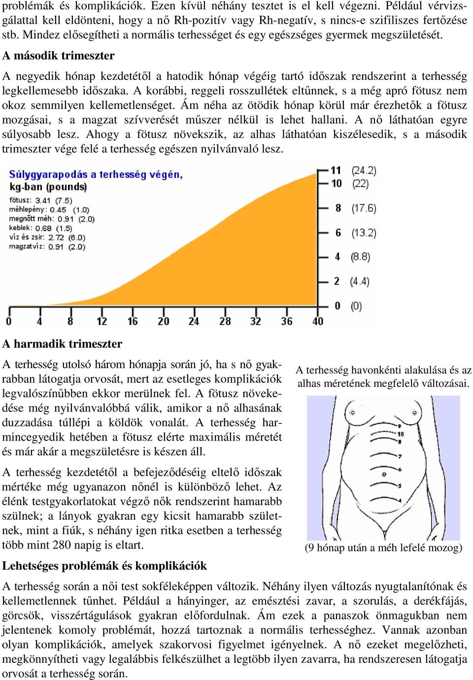 A második trimeszter A negyedik hónap kezdetétől a hatodik hónap végéig tartó időszak rendszerint a terhesség legkellemesebb időszaka.