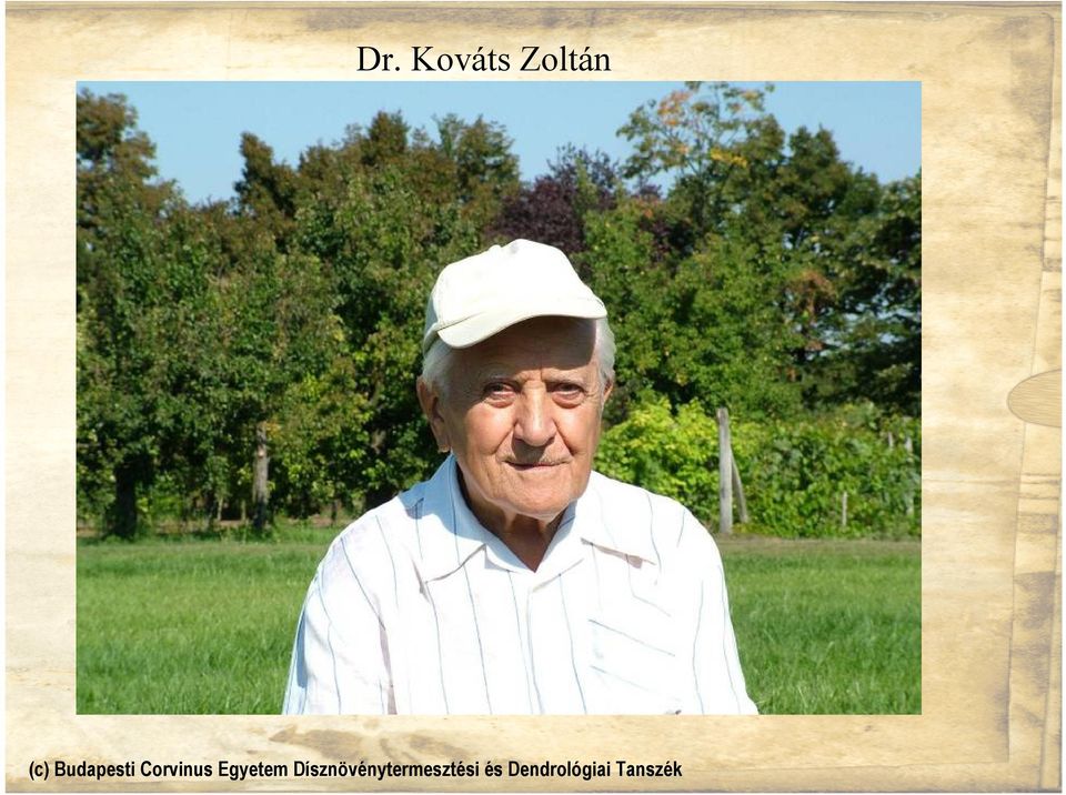 Zoltán