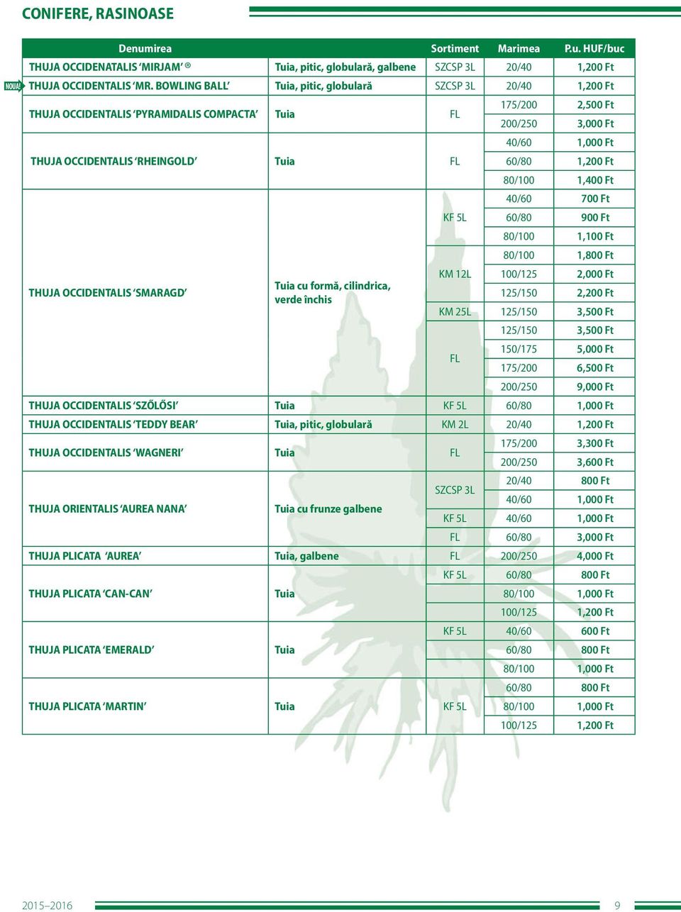 1,400 Ft 40/60 700 Ft KF 5L 60/80 900 Ft 80/100 1,100 Ft 80/100 1,800 Ft KM 12L 100/125 2,000 Ft THUJA OCCIDENTALIS SMARAGD Tuia cu formă, cilindrica, verde închis 125/150 2,200 Ft KM 25L 125/150