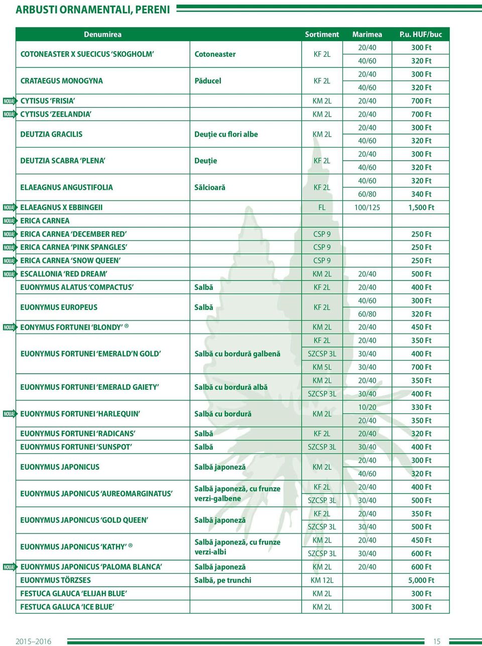 CARNEA SNOW QUEEN CSP 9 250 Ft ESCALLONIA RED DREAM 20/40 500 Ft EUONYMUS ALATUS COMPACTUS Salbă 20/40 400 Ft EUONYMUS EUROPEUS Salbă 40/60 300 Ft 60/80 320 Ft EONYMUS FORTUNEI BLONDY 20/40 450 Ft