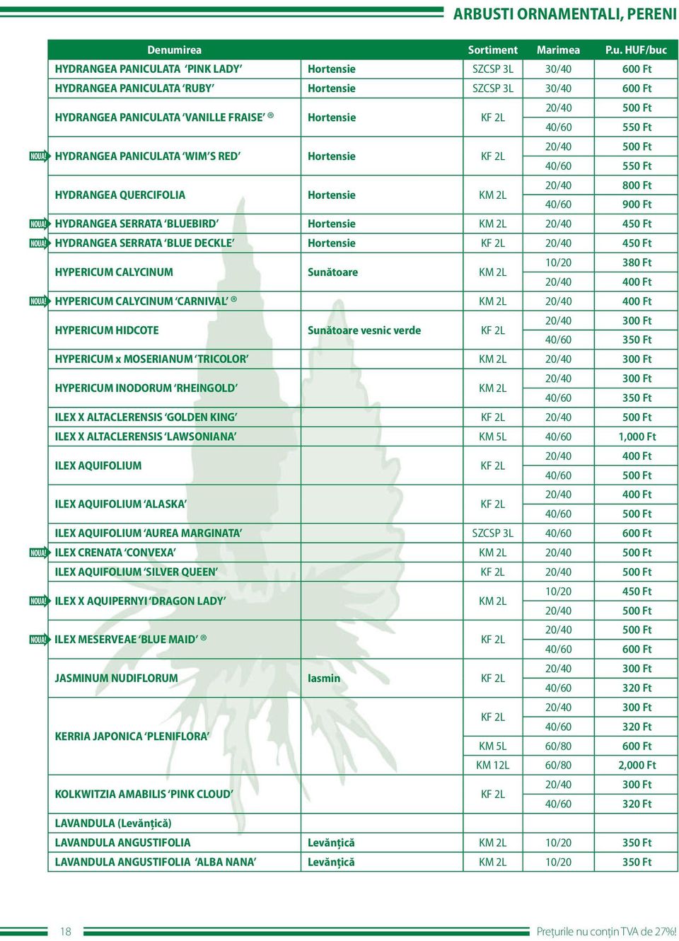 Ft HYDRANGEA SERRATA BLUE DECKLE Hortensie 20/40 450 Ft HYPERICUM CALYCINUM Sunătoare 10/20 380 Ft 20/40 400 Ft HYPERICUM CALYCINUM CARNIVAL 20/40 400 Ft HYPERICUM HIDCOTE Sunătoare vesnic verde