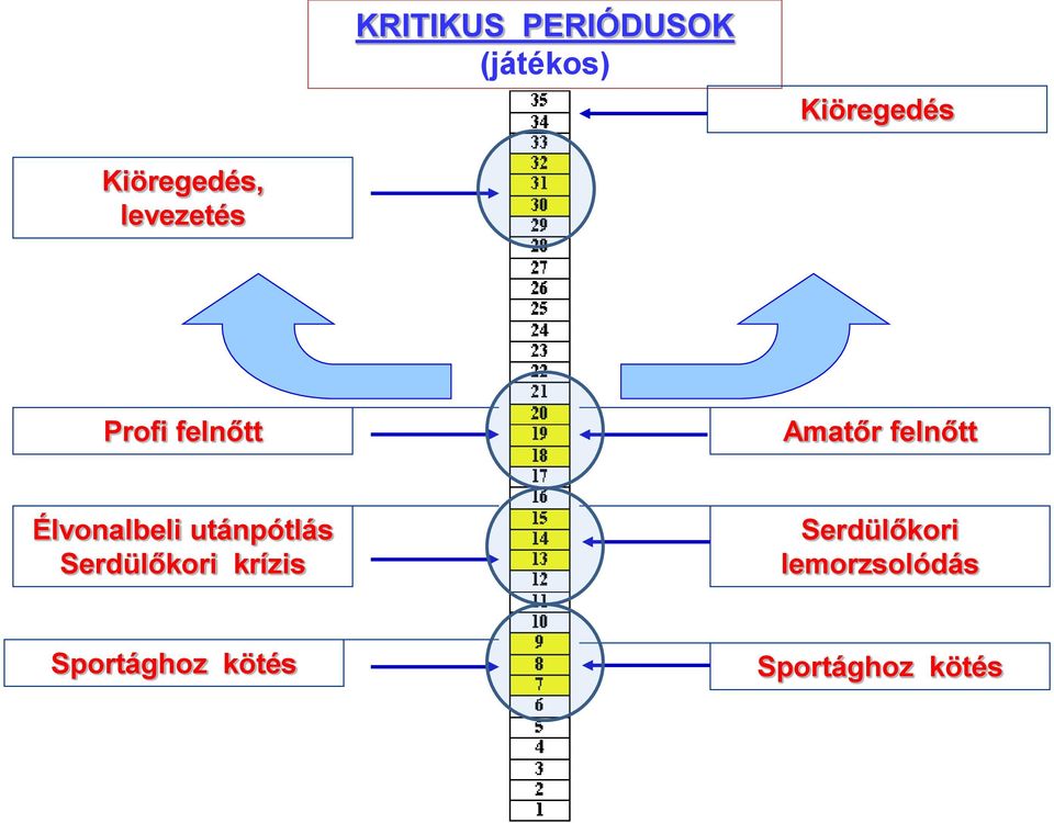 felnőtt Élvonalbeli utánpótlás Serdülőkori