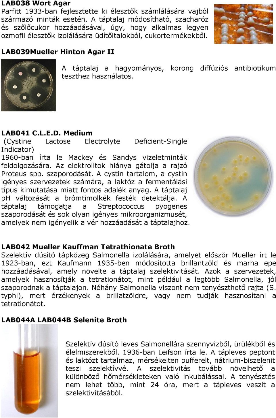 LAB039Mueller Hinton Agar II A táptalaj a hagyományos, korong diffúziós antibiotikum teszthez használatos. LAB041 C.L.E.D.