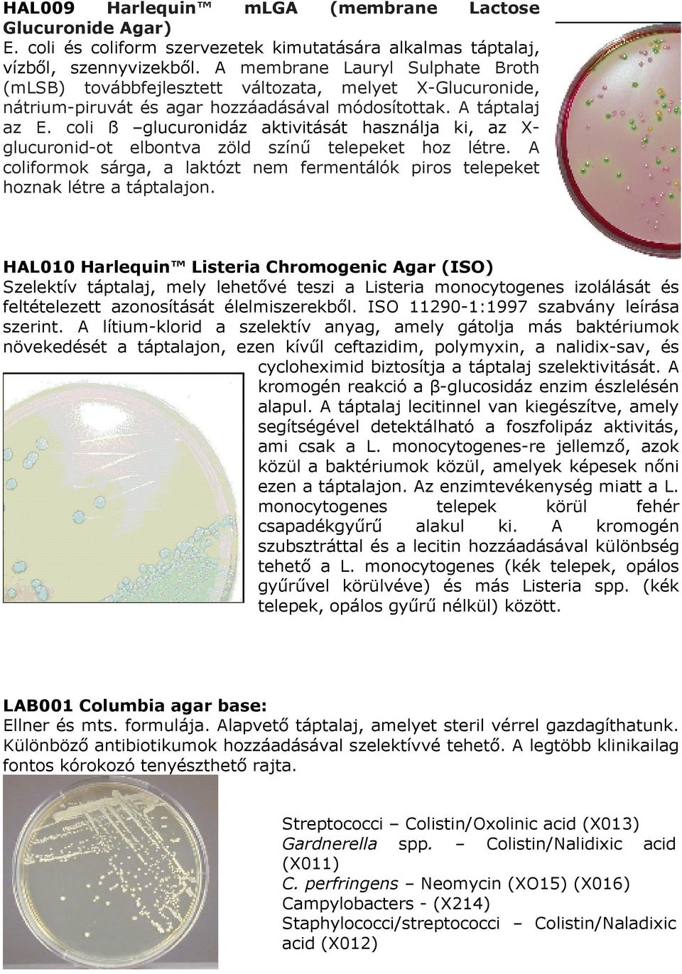 coli ß glucuronidáz aktivitását használja ki, az X- glucuronid-ot elbontva zöld színő telepeket hoz létre. A coliformok sárga, a laktózt nem fermentálók piros telepeket hoznak létre a táptalajon.