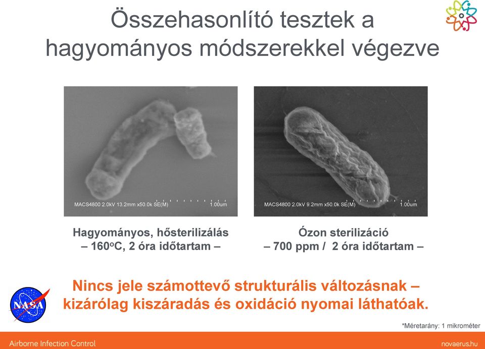 sterilizáció 700 ppm / 2 óra időtartam Nincs jele számottevő