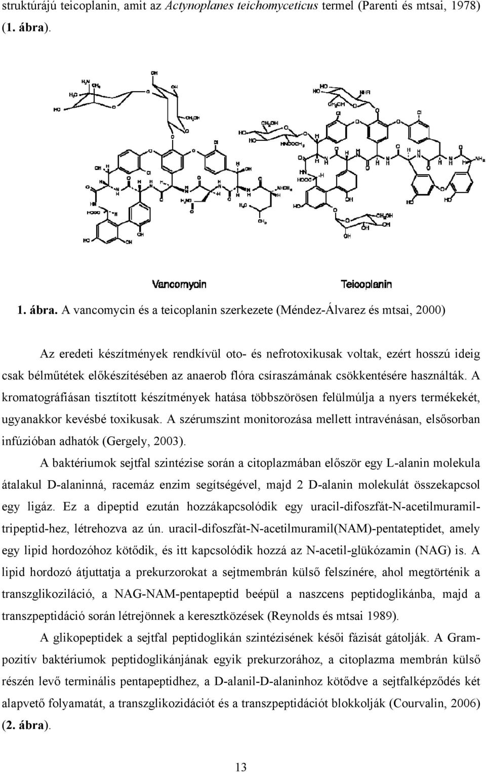 A vancomycin és a teicoplanin szerkezete (Méndez-Álvarez és mtsai, 2000) Az eredeti készítmények rendkívül oto- és nefrotoxikusak voltak, ezért hosszú ideig csak bélműtétek előkészítésében az anaerob