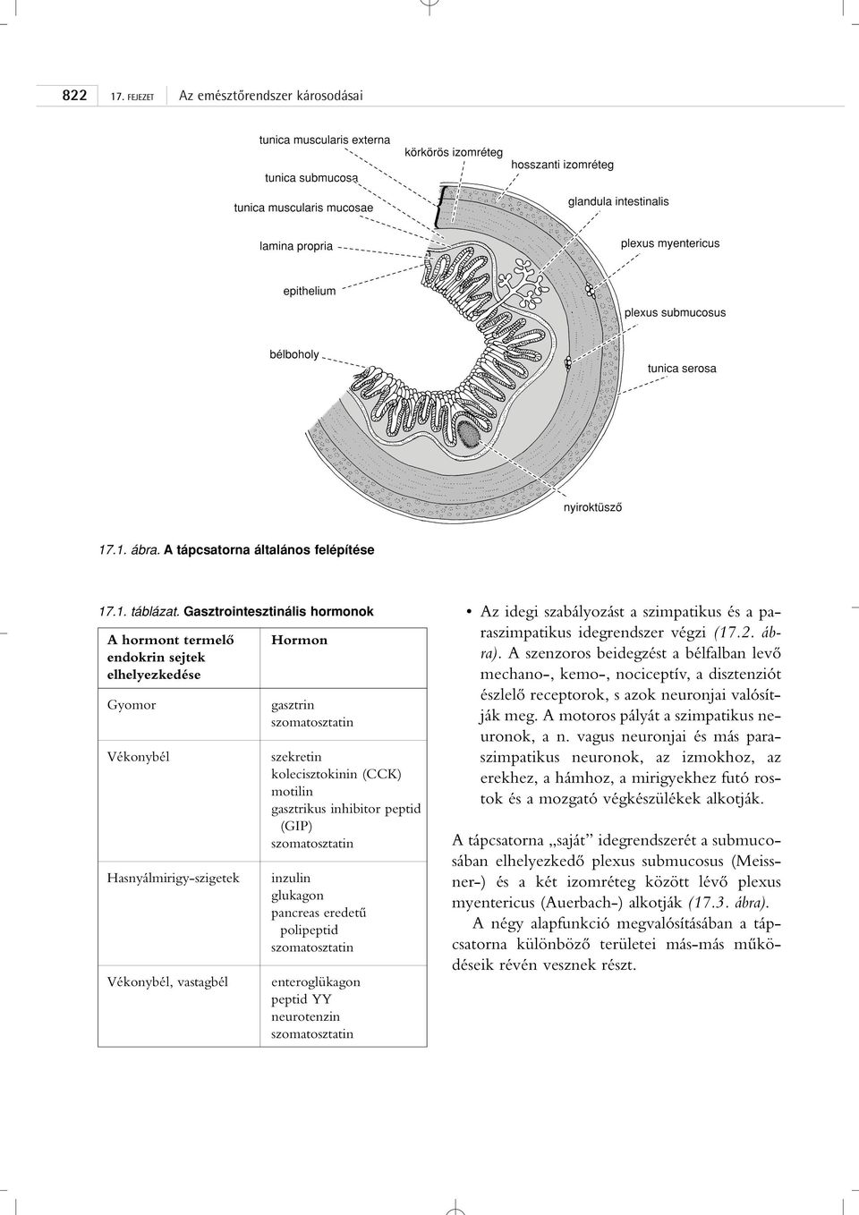 (CCK) motilin gasztrikus inhibitor peptid (GIP) szomatosztatin inzulin glukagon pancreas eredetû polipeptid szomatosztatin enteroglükagon peptid YY neurotenzin szomatosztatin Az idegi szabályozást a