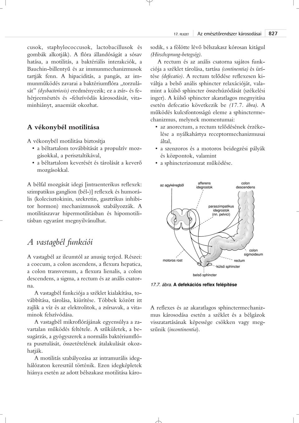 A hipaciditás, a pangás, az immunmûködés zavarai a baktériumflóra torzulását (dysbacteriosis) eredményezik; ez a zsír- és fehérjeemésztés és -felszívódás károsodását, vitaminhiányt, anaemiát okozhat.