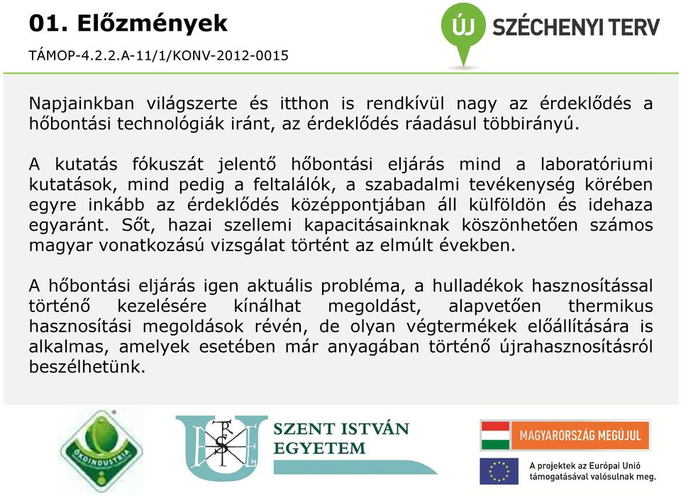 külföldön és idehaza egyaránt. Sőt, hazai szellemi kapacitásainknak köszönhetően számos magyar vonatkozású vizsgálat történt az elmúlt években.