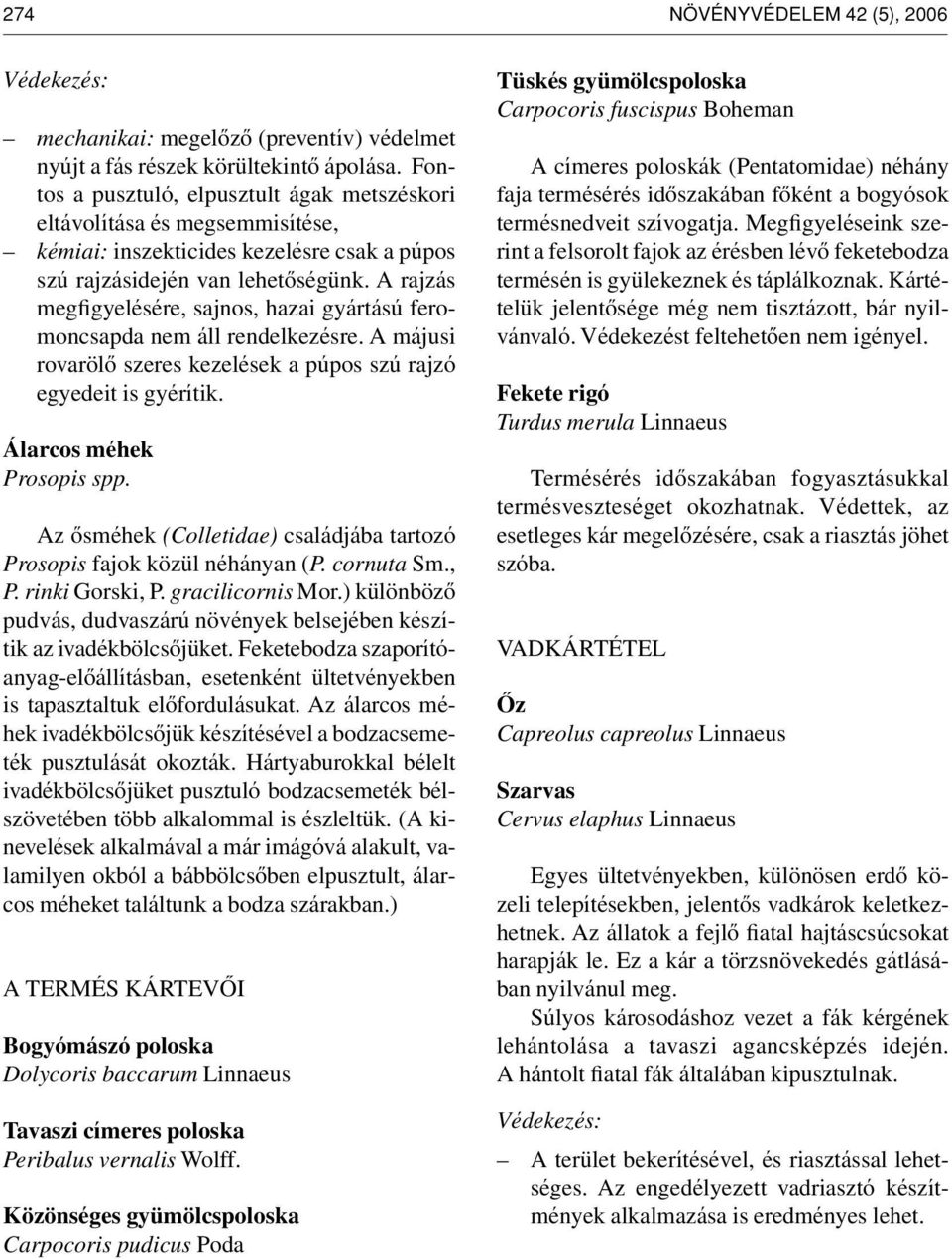 A rajzás megfigyelésére, sajnos, hazai gyártású feromoncsapda nem áll rendelkezésre. A májusi rovarölô szeres kezelések a púpos szú rajzó egyedeit is gyérítik. Álarcos méhek Prosopis spp.