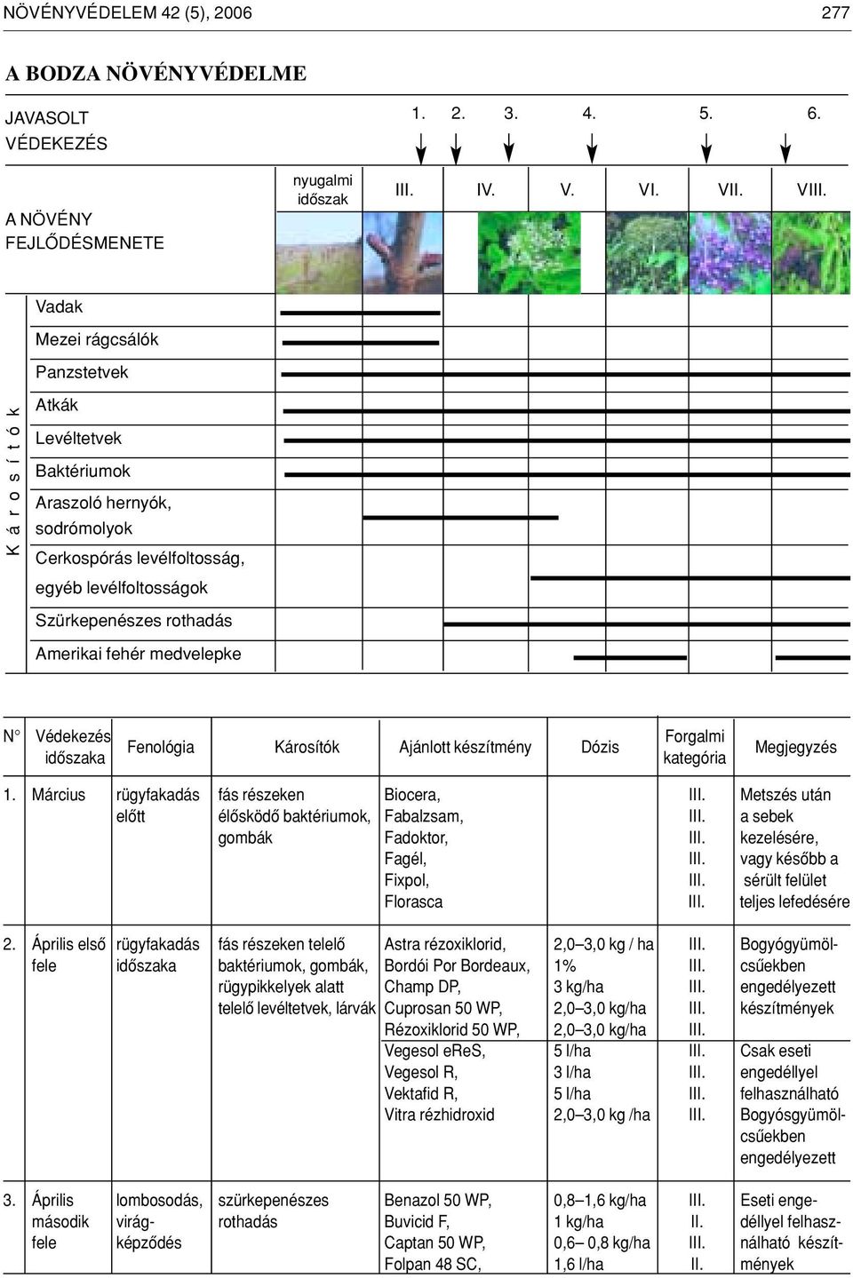 fehér medvelepke N Védekezés Forgalmi Fenológia Károsítók Ajánlott készítmény Dózis idôszaka kategória Megjegyzés 1. Március rügyfakadás fás részeken Biocera, III.