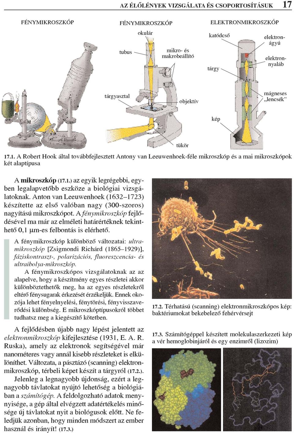 Anton van Leeuwenhoek (1632 1723) készítette az elsõ valóban nagy (300-szoros) nagyítású mikroszkópot.