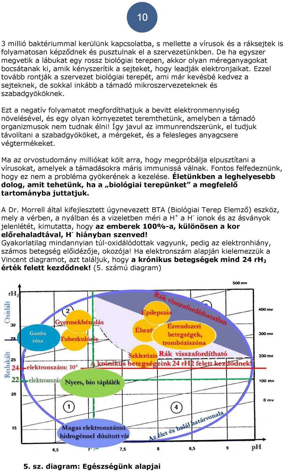 Ezzel tovább rontják a szervezet biológiai terepét, ami már kevésbé kedvez a sejteknek, de sokkal inkább a támadó mikroszervezeteknek és szabadgyököknek.