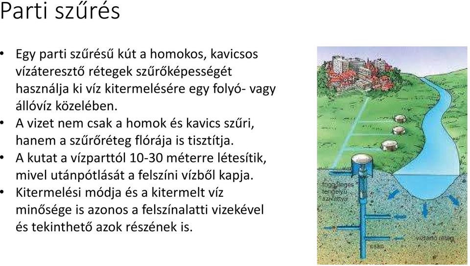 A vizet nem csak a homok és kavics szűri, hanem a szűrőréteg flórája is tisztítja.