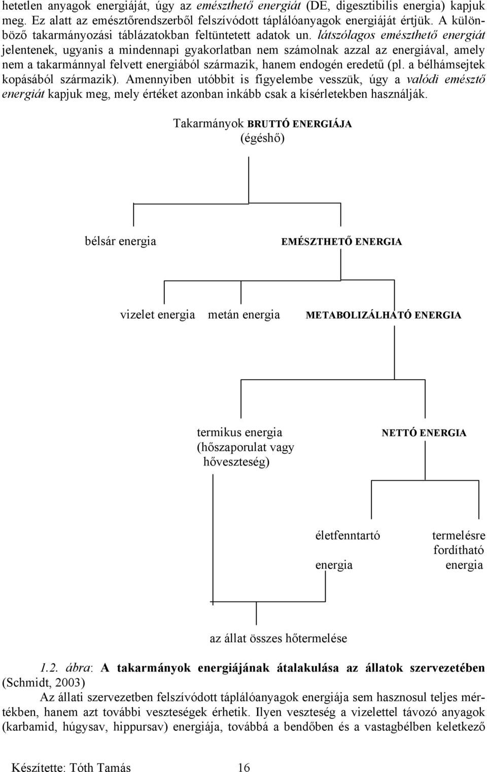 látszólagos emészthető energiát jelentenek, ugyanis a mindennapi gyakorlatban nem számolnak azzal az energiával, amely nem a takarmánnyal felvett energiából származik, hanem endogén eredetű (pl.