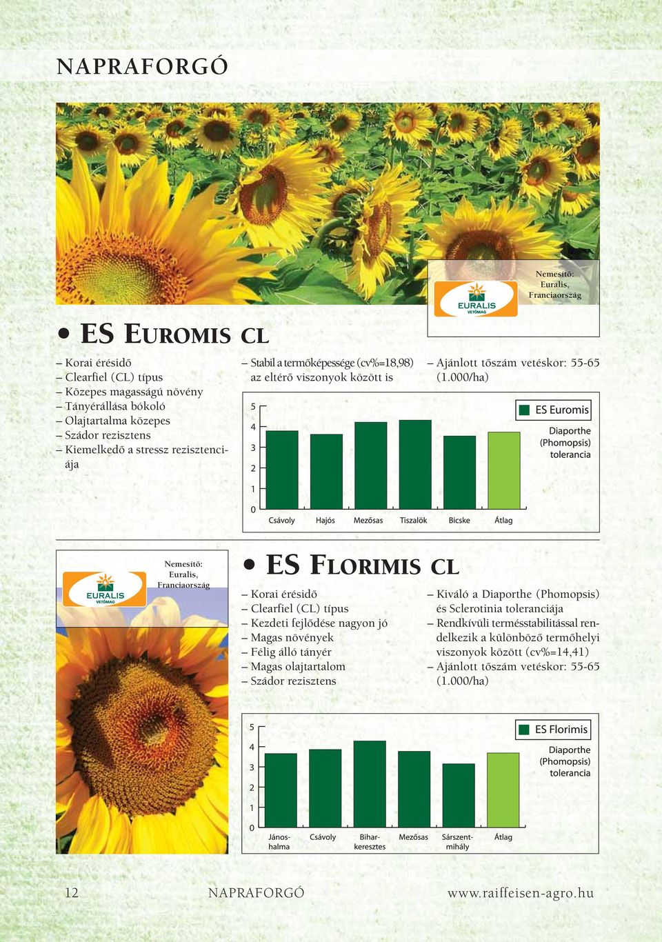 /ha) 1 Euralis, Franciaország ES FLORIMIS CL Korai érésidô Clearfiel (CL) típus Kezdeti fejlôdése nagyon jó Magas növények Félig álló tányér Magas olajtartalom Szádor rezisztens