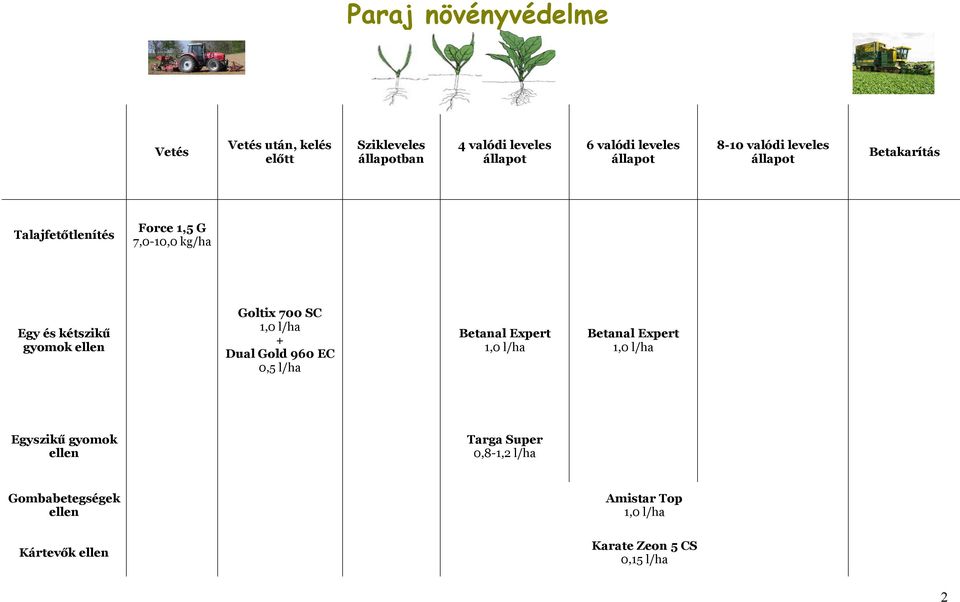 kétszikű gyomok ellen Goltix 700 SC + Dual Gold 960 EC 0,5 l/ha Egyszikű gyomok ellen Targa