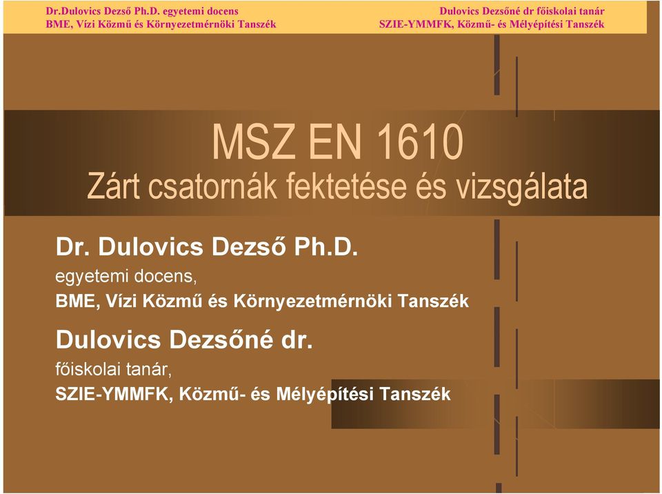 Dulovics Dezső Ph.D. egyetemi