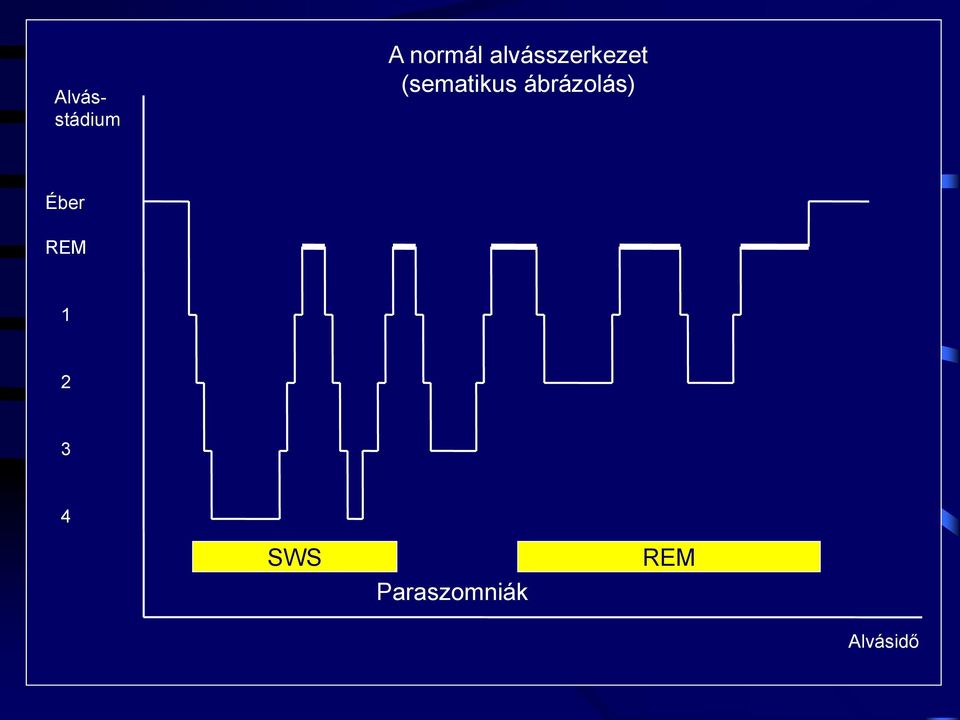ábrázolás) Éber REM 1 2 3