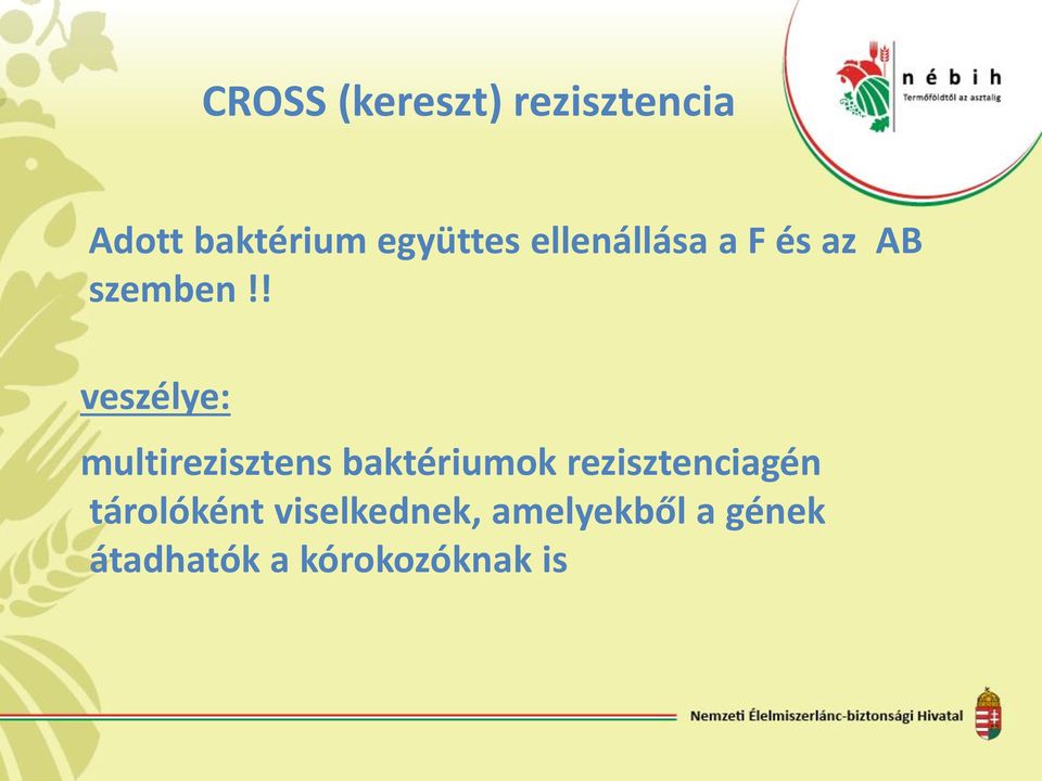 ! veszélye: multirezisztens baktériumok