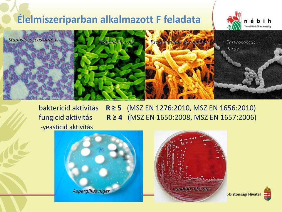 (MSZ EN 1276:2010, MSZ EN 1656:2010) fungicid aktivitás R 4 (MSZ EN