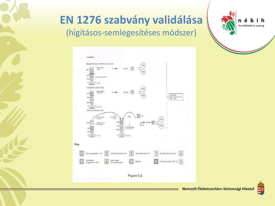 validálása