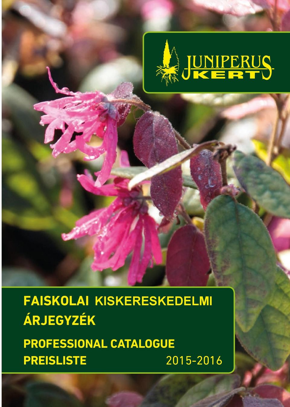 E-mail: juniperus@kefag.hu, juniperusexport@kefag.