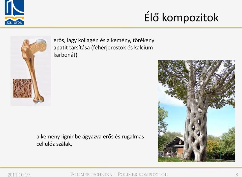 (fehérjerostok és kalciumkarbonát) a