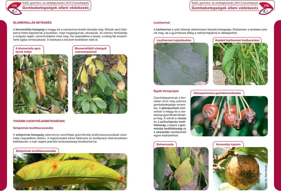 A lisztharmat a nyári időszak alattomosan támadó betegsége. Elsősorban a leveleken jelenik meg, de a gyümölcsre (főleg a nektarinfajtákra) is rátelepedhet.