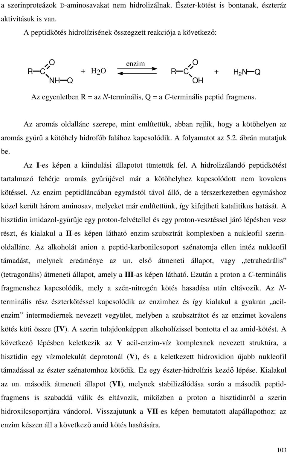 Az aromás oldallánc szerepe, mint említettük, abban rejlik, hogy a kötıhelyen az aromás győrő a kötıhely hidrofób falához kapcsolódik. A folyamatot az 5.2. ábrán mutatjuk be.