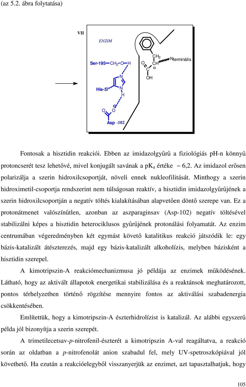 Az imidazol erısen polarizálja a szerin hidroxilcsoportját, növeli ennek nukleofilitását.