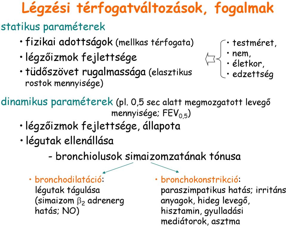 0,5 sec alatt megmozgatott levegő mennyisége; FEV 0,5 ) légzőizmok fejlettsége, állapota légutak ellenállása - bronchiolusok simaizomzatának