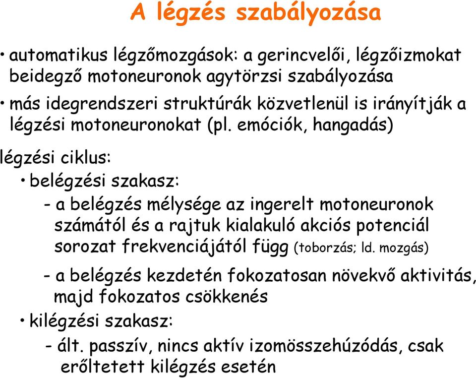 emóciók, hangadás) légzési ciklus: belégzési szakasz: - a belégzés mélysége az ingerelt motoneuronok számától és a rajtuk kialakuló akciós