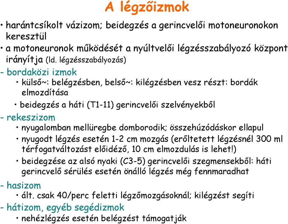 mellüregbe domborodik; összehúzódáskor ellapul nyugodt légzés esetén 1-2 cm mozgás (erőltetett légzésnél 300 ml térfogatváltozást előidéző, 10 cm elmozdulás is lehet!