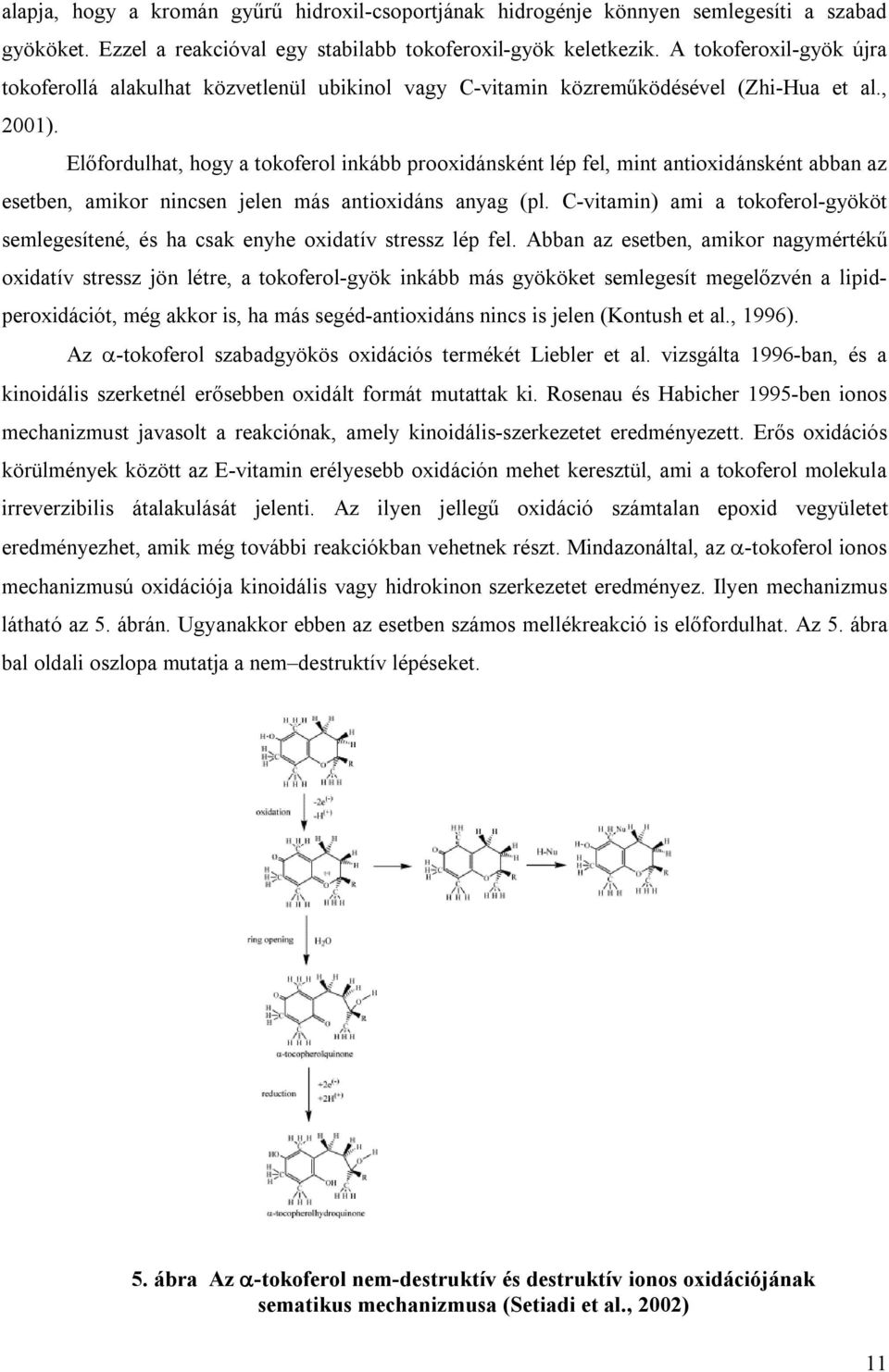 Előfordulhat, hogy a tokoferol inkább prooxidánsként lép fel, mint antioxidánsként abban az esetben, amikor nincsen jelen más antioxidáns anyag (pl.