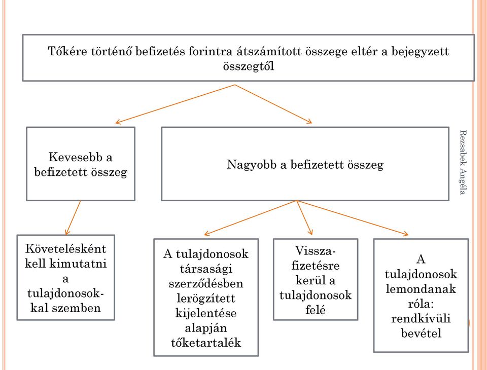 tulajdonosokkal szemben A tulajdonosok társasági szerződésben lerögzített kijelentése