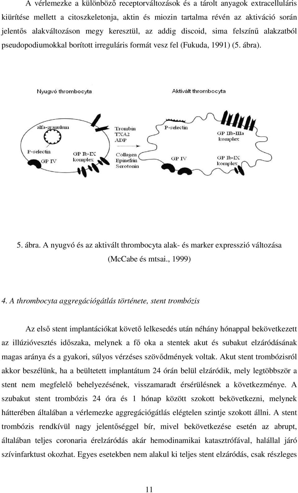 . 5. ábra. A nyugvó és az aktivált thrombocyta alak- és marker expresszió változása (McCabe és mtsai., 1999) 4.
