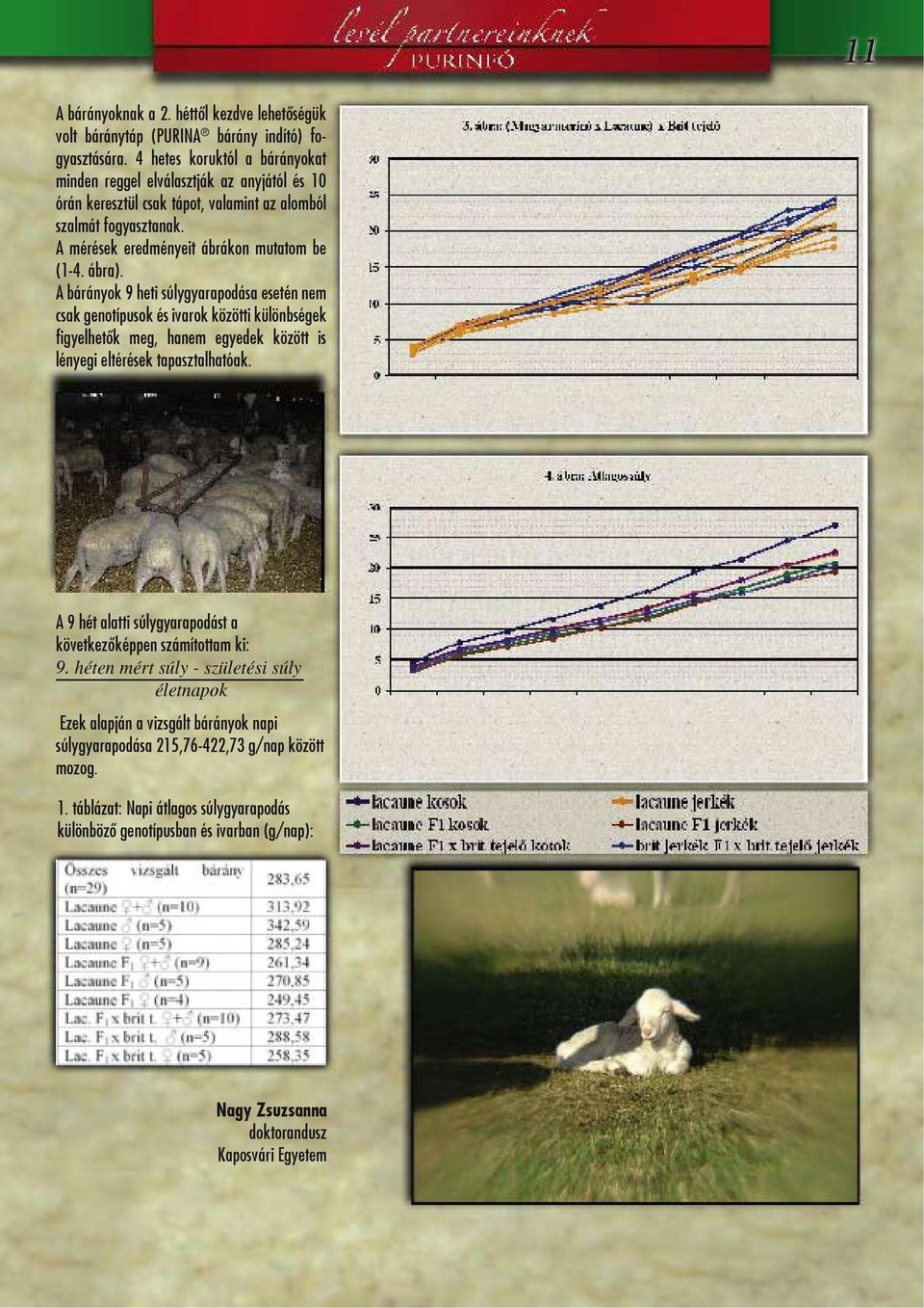 A bárányok 9 heti súlygyarapodása esetén nem csak genotípusok és ivarok közötti különbségek figyelhetők meg, hanem egyedek között is lényegi eltérések tapasztalhatóak.