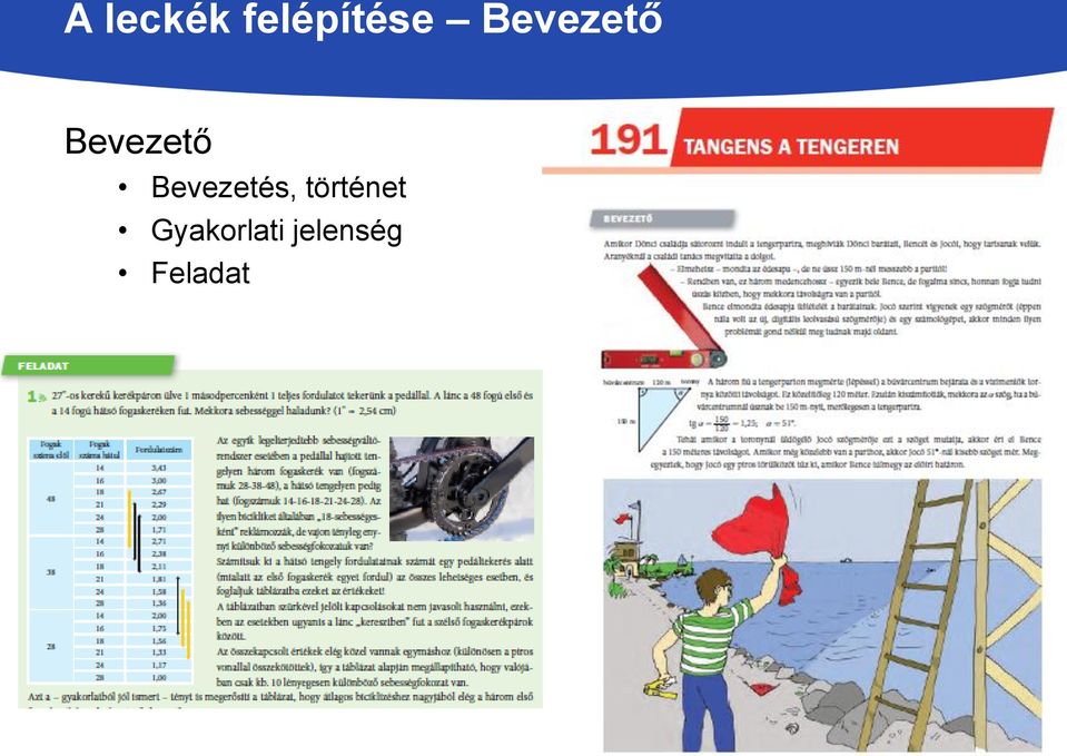 Bevezetés, történet